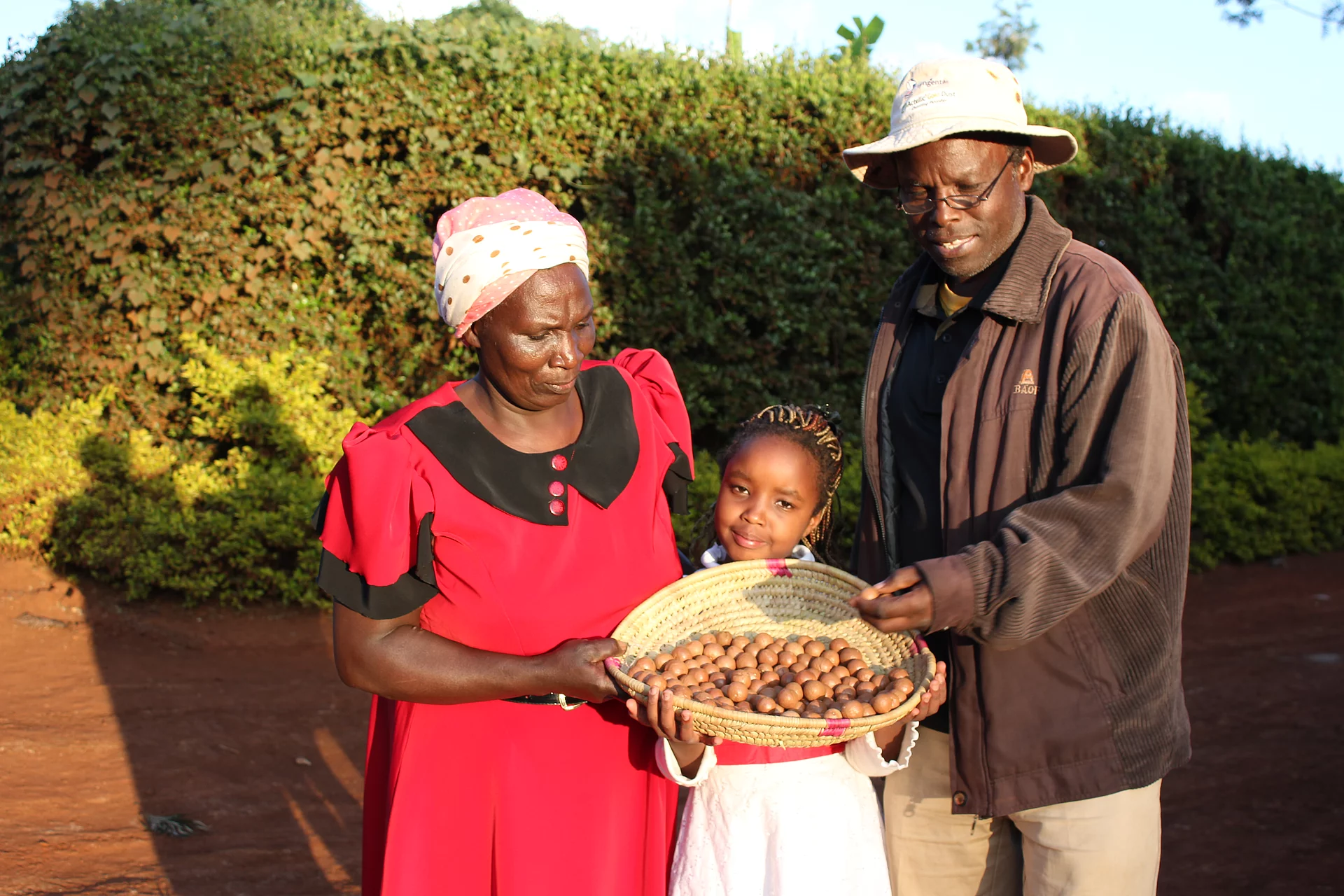 Eine Bauernfamilie präsentiert stolz ihre Macadamia-Ernte. Eine Familie mit einem Kind hält geerntete Macadamia-Nüsse in die Kamera und wirkt glücklich.