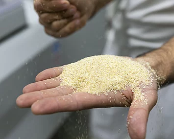 Grieß auf einer Hand vor der Verarbeitung zur Nudel. Der Grieß wurde in der eigenen Getreidemühle gemahlen.