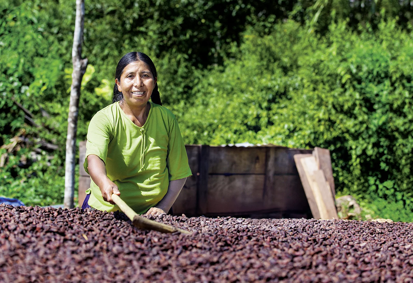 Bio-Kakaobäuerin bei der Trocknung der Kakaobohnen. El Ceibo und bio-fairer Kakao aus Bolivien (HAND IN HAND).