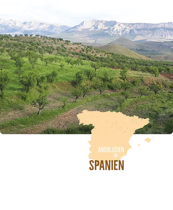 Bio-Mandeln aus Andalusien. Im Hintergrund Blick auf Mandelbäume in hügeliger Landschaft und Bergen, im Vordergrund Karte von Spanien mit Marker bei Andalusien.